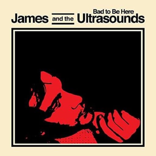 James And The Ultrasounds - Bad To Be Here (CD)