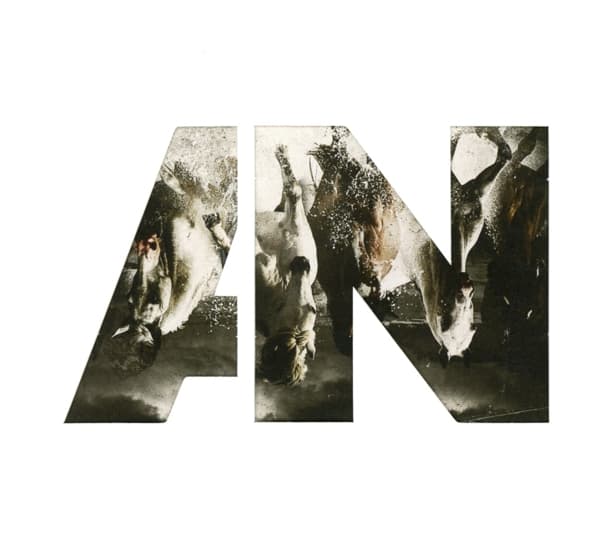 Awolnation - Run (CD)