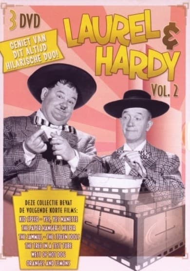 Laurel & Hardy 2 (DVD)