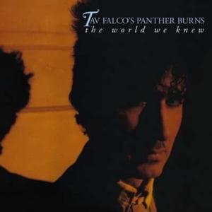 Tav Falco & The Panther Burns - The World We Knew + Shake Rag (2 CD)