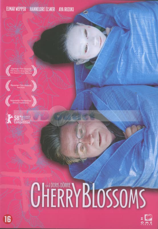 Cherry Blossoms