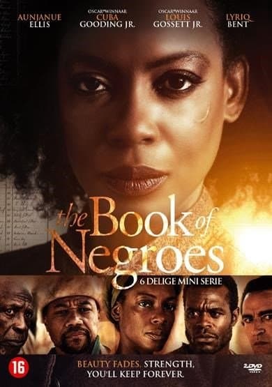Book Of Negroes (DVD)