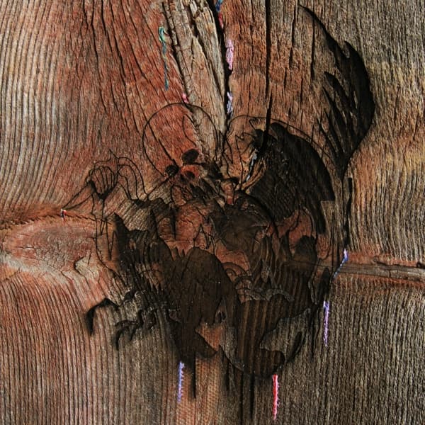 Avey Tare's Slasher Flicks - Enter The Slasher House (2 LP)