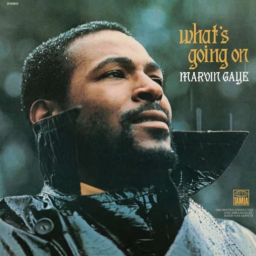 Marvin Gaye - What S Going On (180Gr+Download)