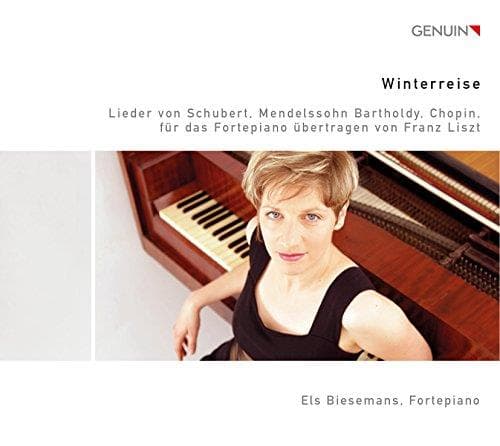 Els Biesemans - Winterreise (Lieder Von Schubert, Mendelssohn Bartholdy, Chopin, Für Das Fortepiano Übertragen Von Franz Liszt) (CD)