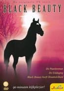 Black Beauty 3