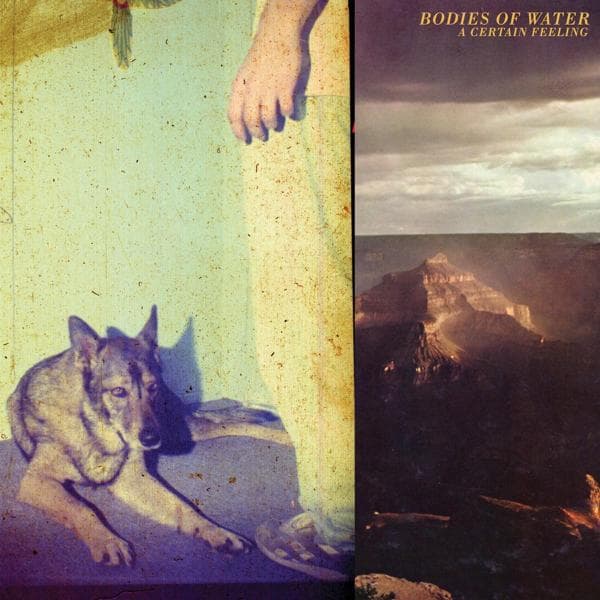 Bodies Of Water - A Certain Feeling (LP)