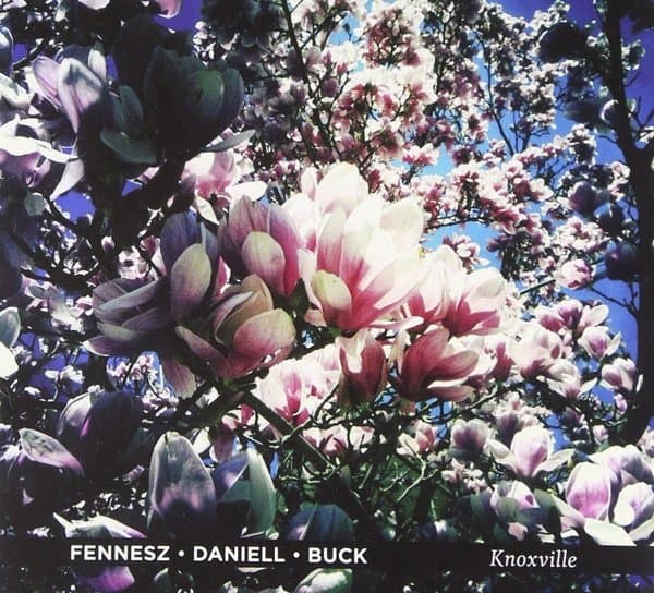 Fennesz, David Daniell, Tony Buck - Knoxville (LP) (Limited Edition)
