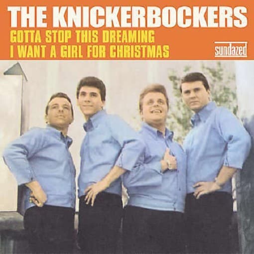 Knickerbockers - Gotta Stop This Dreamin (7" Single)