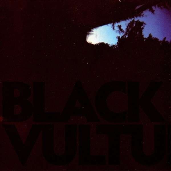 Daniel Norgren - Black Vultures (LP)