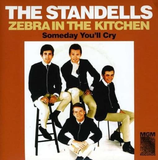 Standells - Zebra In The Kitchen / Someday You'll Cry (7" Single) (Limited Edition)