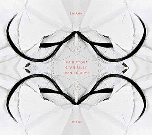 Iva Bittová, Gyan Riley, Evan Ziporyn - Eviyan - Nayive (CD)