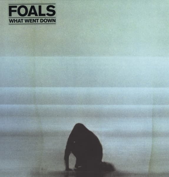 Foals - What Went Down (LP)