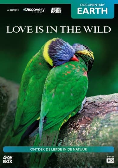 Love is In The wild (DVD)