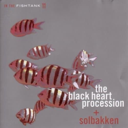 Black Heart Procession + Solbakken - In The Fishtank (LP) (Coloured Vinyl)