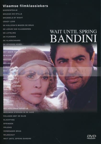 Wait until spring bandini (DVD)
