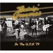Flamin' Groovies - In The U.s.a '79