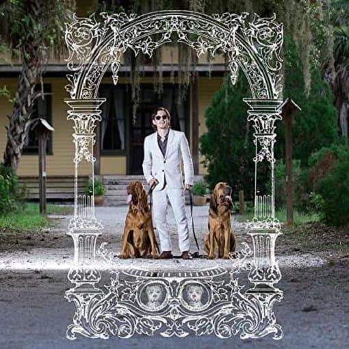 Pet Symmetry - Pets Hounds (LP)
