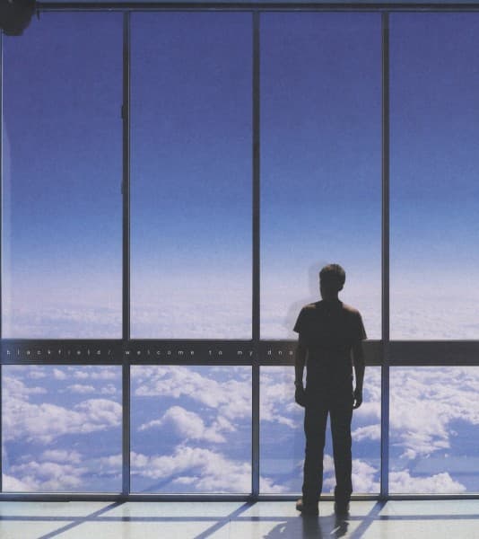 Blackfield - Welcome To My DNA (LP) (Limited Edition)