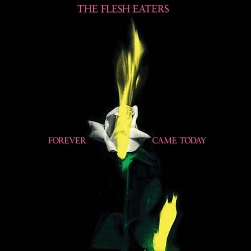 The Flesh Eaters - Forever Came Today (CD)