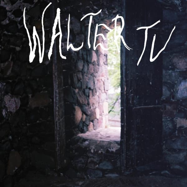 Walter TV - Blessed (LP)