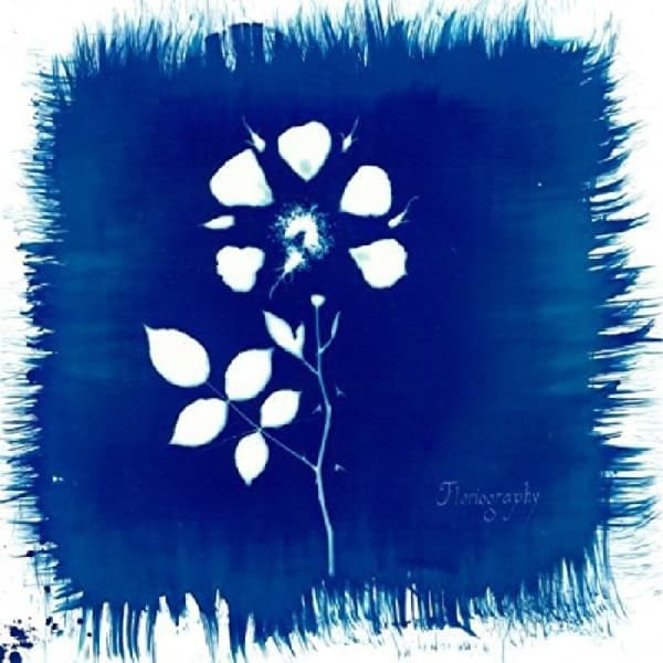 Painted Zeros - Floriography (LP)