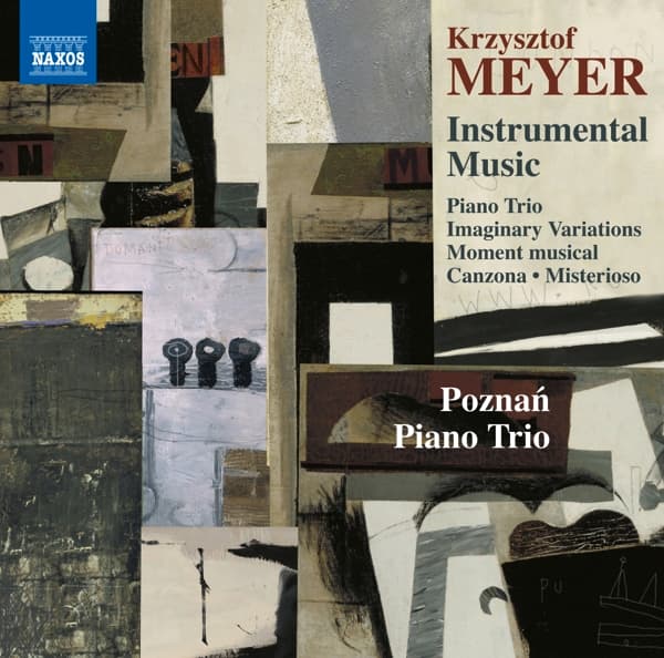 Poznan Piano Trio - Krzysztof Meyer: Instrumental Music (CD)