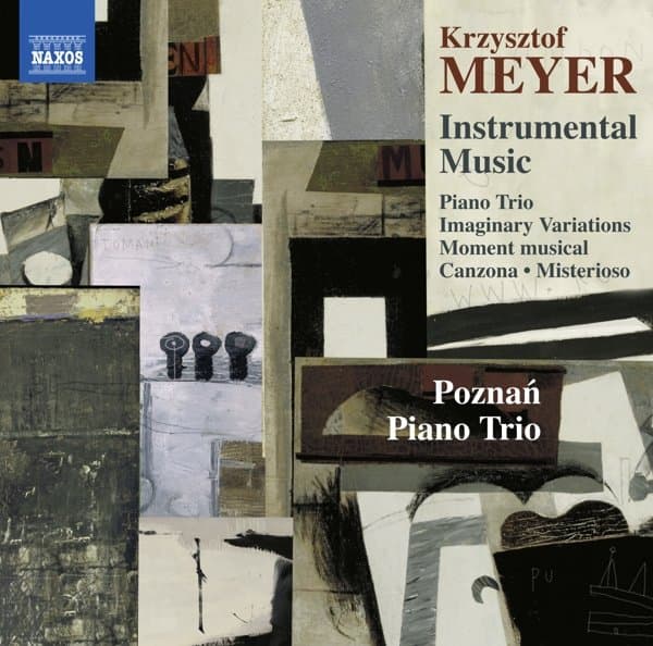 Poznan Piano Trio - Krzysztof Meyer: Instrumental Music (CD)