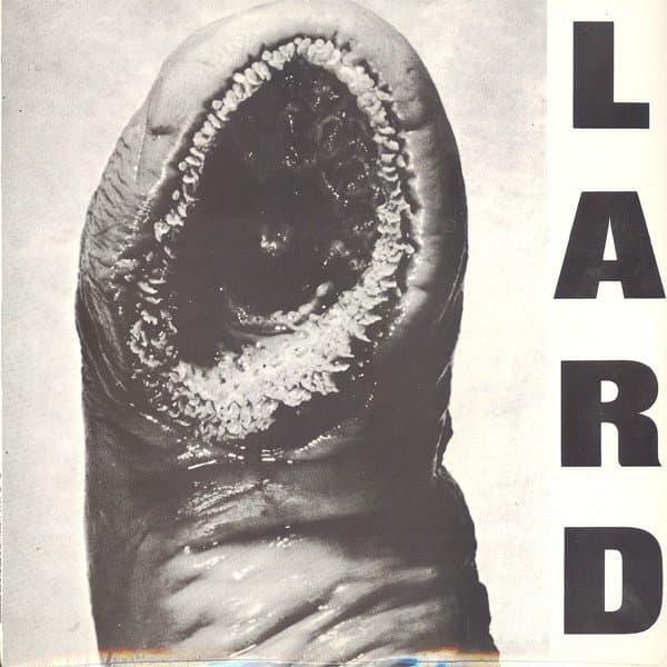 Lard - Power Of Lard (12" Single)