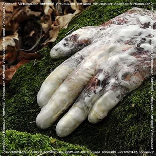 Antwood - Virtuous Scr (2 LP)