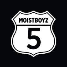 Moistboyz V
