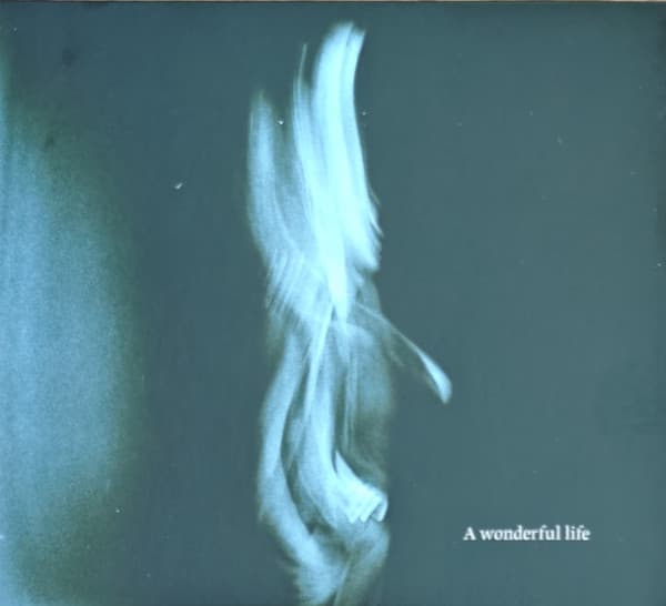 A Wonderful Life