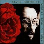 Costello, Elvis - Mighty Like A Rose
