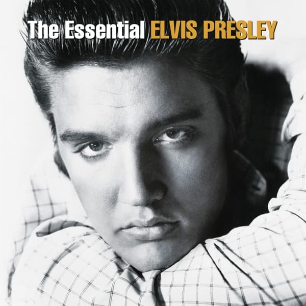 Elvis Presley - The Essential Elvis Presley (2 LP)